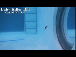 Imakatsu Baby Killer Bill am C-Rig
