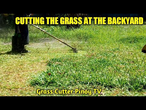 PART 2 CUTTING THE GRASS AT THE BACK