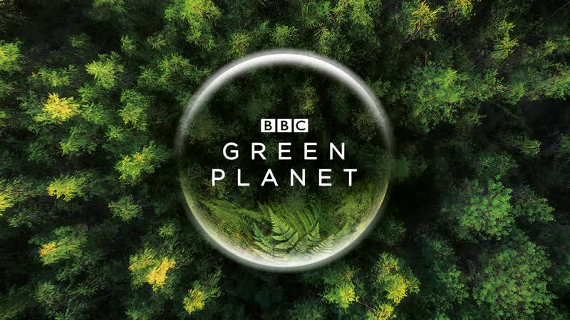 The Green Planet Season 01 Episode