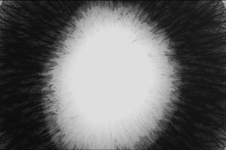 dreissk - the eye can see