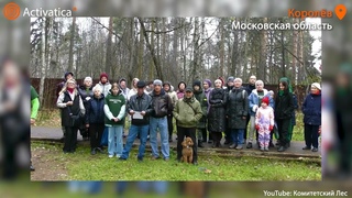 Жители Королёва уповают на чудо для спасения Комитетского леса