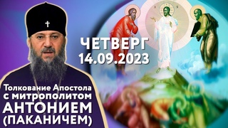 Четверг, 14 сентября 2023 года. Толкование Апостола с митр. Антонием (Паканичем).