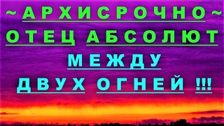 АрхиСРОЧНО Отец Абсолют ~ между двух огней !