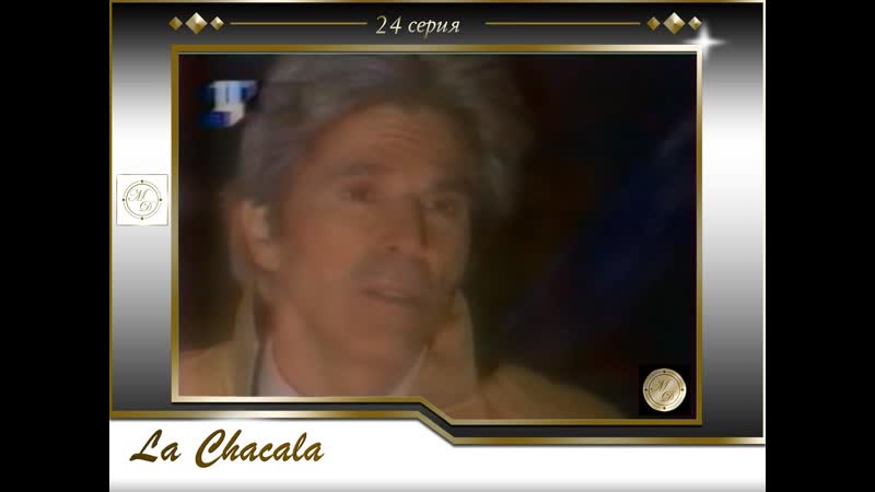 La Chacala 24, Волчица 24