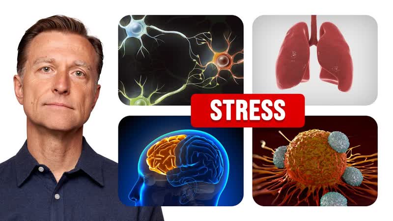 How Worry and Stress Affects You at the Cellular