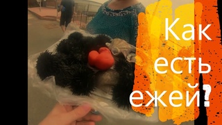 Четвертая серия Дальневосточные морские ежи Научите как их есть Снорклинг в бухте Лазурная