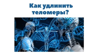Как без вреда самостоятельно удлинить теломеры и продлить жизнь