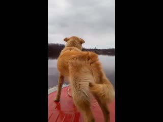 Гильза из г. Кириши.