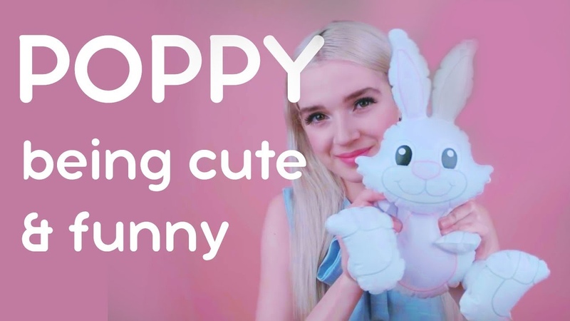 Poppy being cute