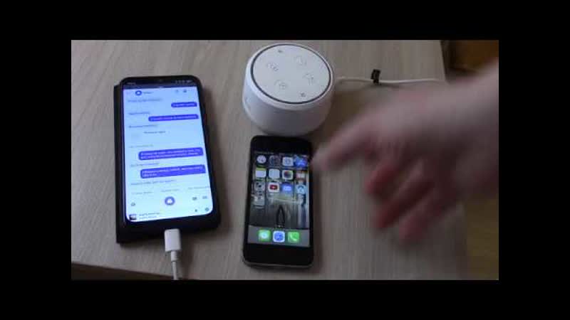 Сравнение голосовых помощников : Siri ( Apple) и Алиса