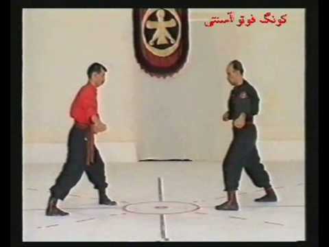 Traditional Kung Fu To A, Master Mostafa Dehghanian
