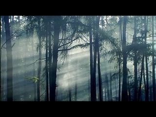 Владимир Тока Таежная симфония 1 и 4 части