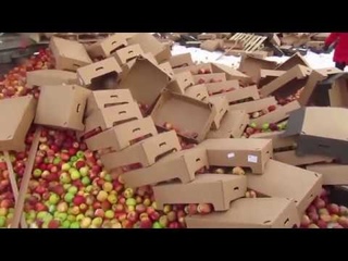 На Южном Урале уничтожают сакционные продукты: 19 тонн яблок и 18 тонн сала