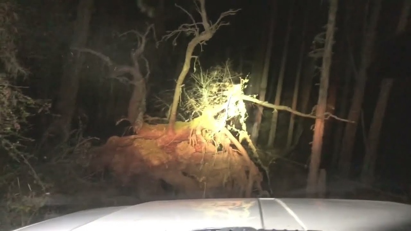 Night drive STRAIGHT through the