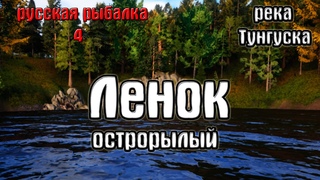 Русская рыбалка 4(рр4/rf4) - река Нижняя тунгуска. Ленок острорылый.