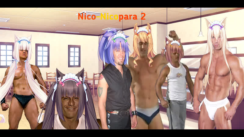 Nico nicopara 2
