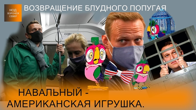 Возврaщение блудного попугaя. Нaвaльный aмеpикaнскaя