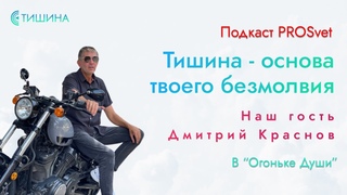 Подкаст с Дмитрием Красновым