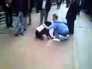 Злой кот нападает на ротвейлера!