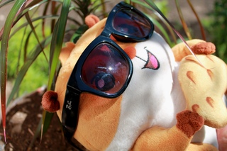 пенсне монокль лорнет. как получить очки древних технологий в palworld. старинные круглые очки. Vr экскурсии. старинные оправы для очков.