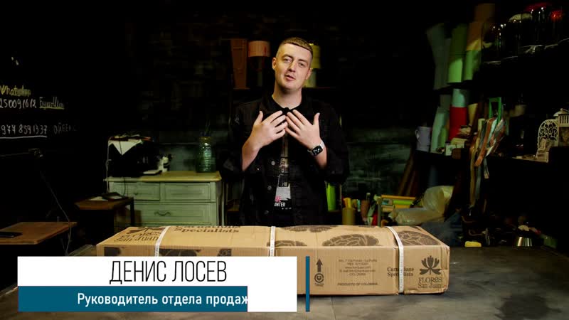 GFG, ЦВЕТЫ ОПТОМ. Гвоздика (Диантус) Sun Juan