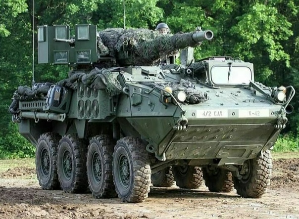 Бронетранспортеров stryker. Бтр stryker. Страйкер shorad. Stryker 2. Stryker боевая бронированная машина.