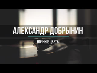 Александр Добрынин - Ночные цветы