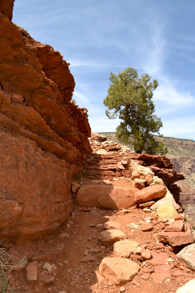 Наталья Корицкая | San Francisco