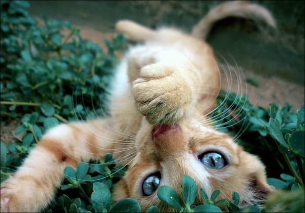 Мария Охлопкова | Троицк