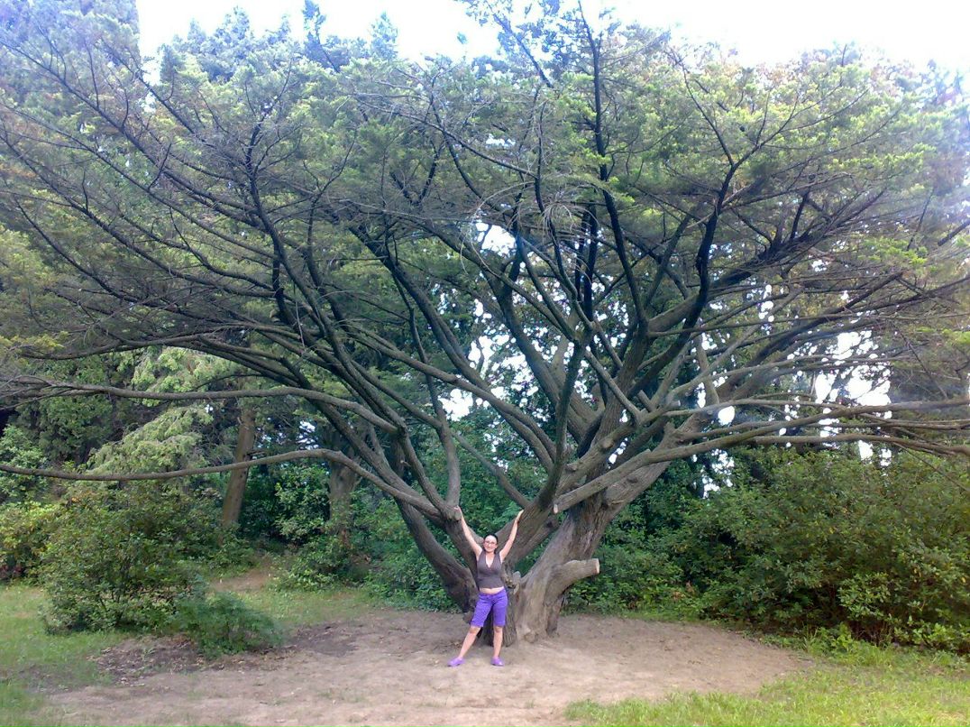 Алёна Живица | Кривой Рог