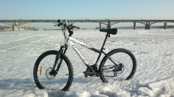 Алёна Гросс | Новосибирск