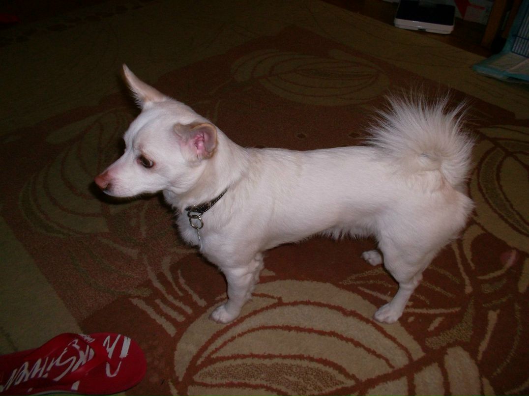 Jonas Poliskis LietuviS | Москва