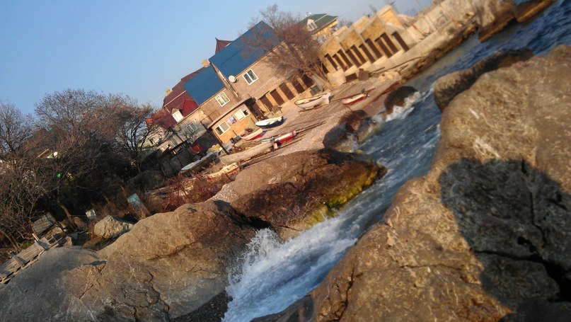 Катя Шереметева ***Grenouille heureuse*** | Nice