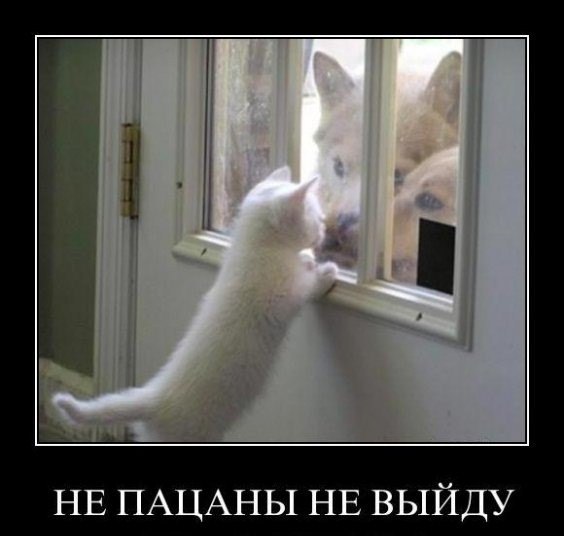 Ирина Осипова | Санкт-Петербург