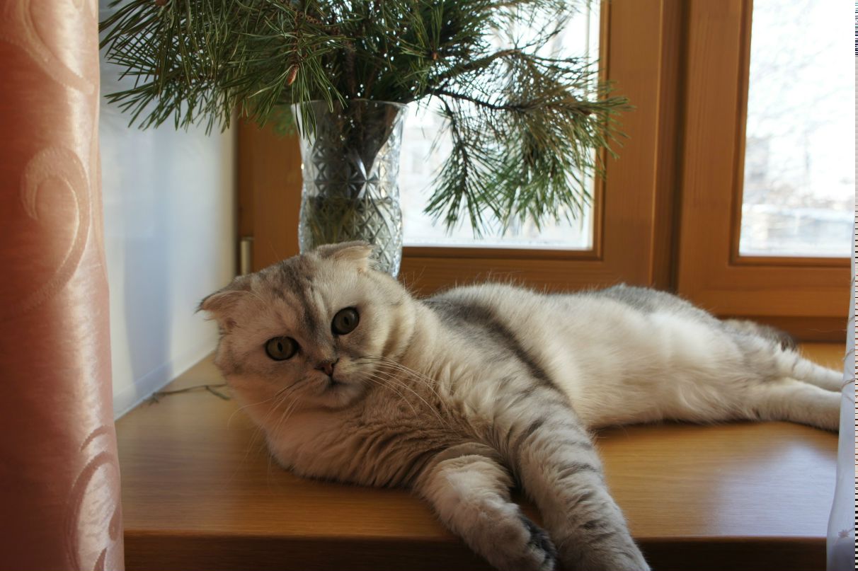 Лидия Иванова | 