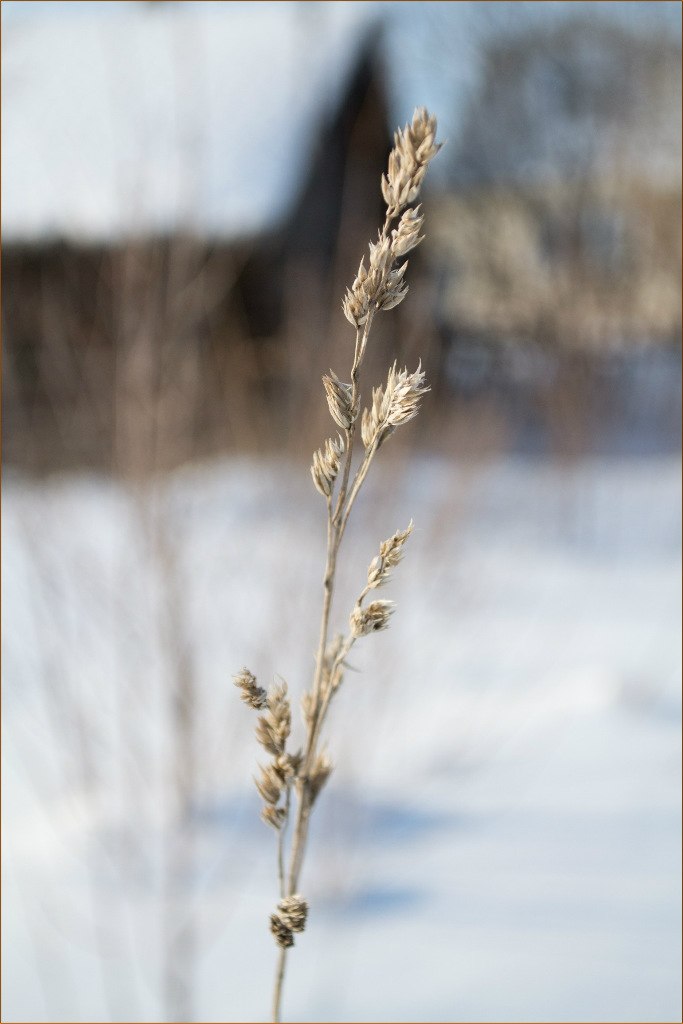Виктор Лимонов | Кирово-Чепецк
