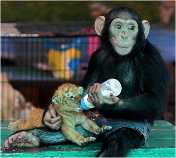 Юрий Могулев | Каменское / Днепродзержинск