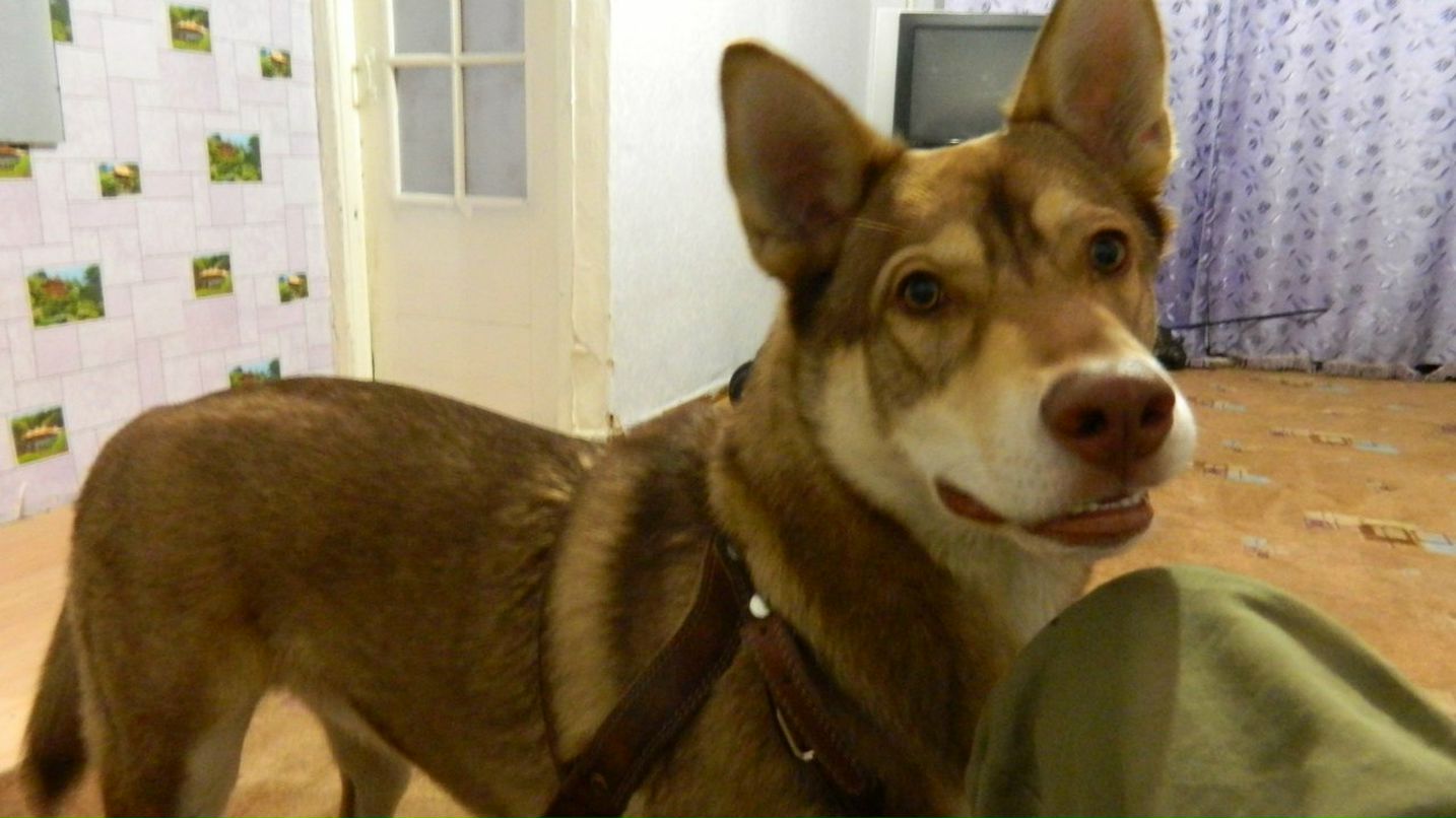 Денис Малышев | Челябинск