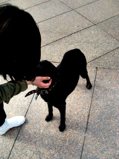 Dasha Karatinskaya | 