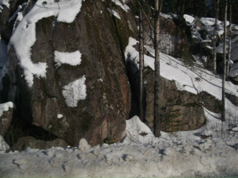 Данила Колюк | Санкт-Петербург