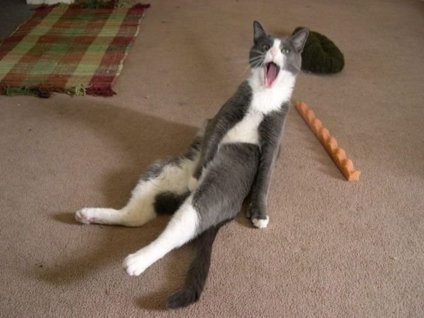 Юрий Поповский Pino | Valparaíso