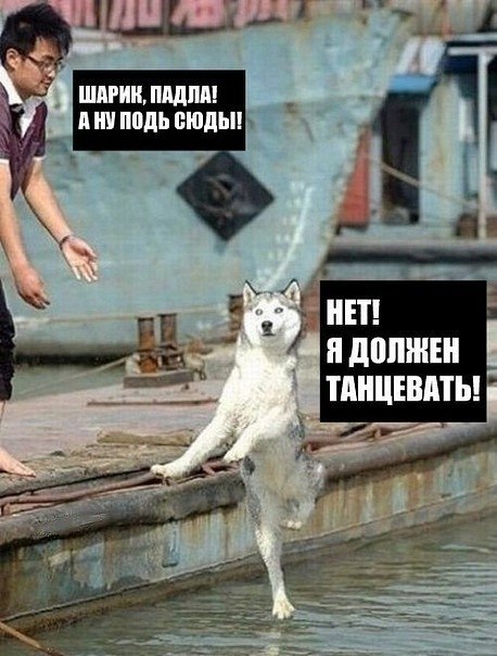 Оля Синица | Киев