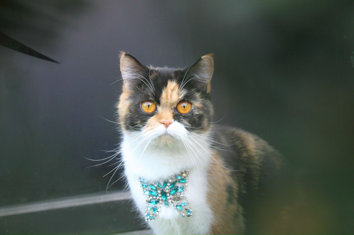 Максим Гринченко | Харьков