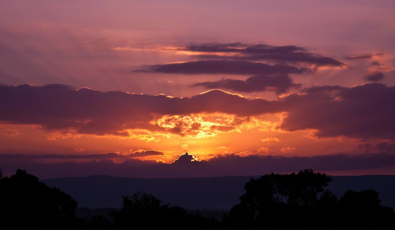 Павел Петренко Abadakus | Москва