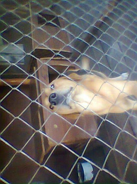 №10, Татьяна Хамидулина-Кондратьева №10, Татьяна Хамидулина-Кондратьева