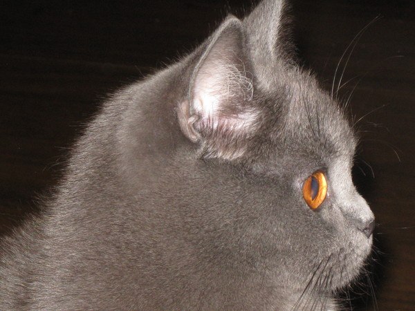 Кристина Юсупова | Алматы