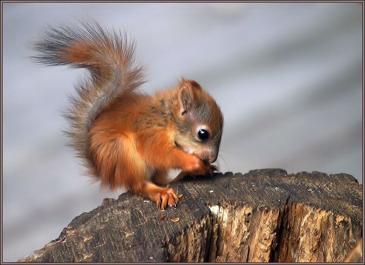 Яна Сунцова | Казань