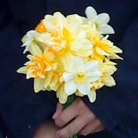 Елена Матвеева