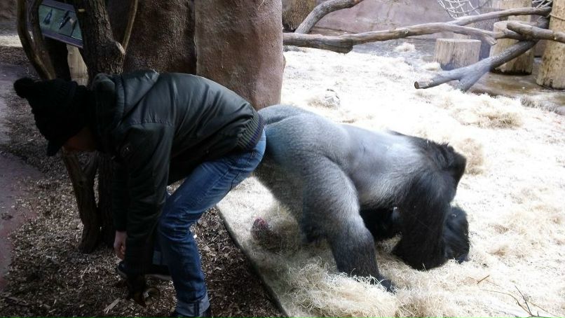 Артем Клюкин | Санкт-Петербург