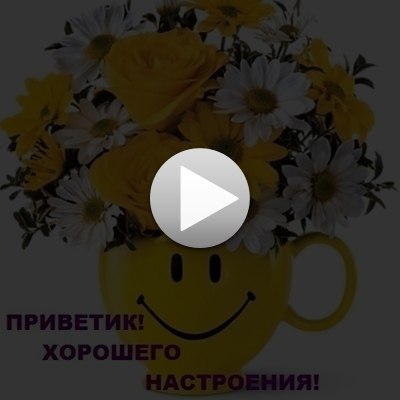 Светлана Матросова | 